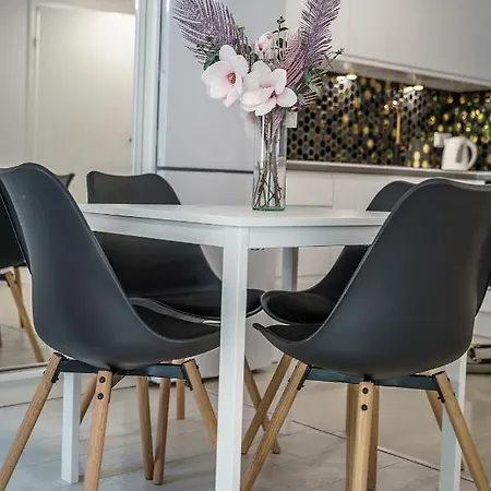 Cozy And Spacious-golden Apartment-city Center&s42 Warsaw